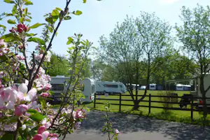 Market Rasen Racecourse - Wohnwagen- und Zeltstellplatz auf dem Campingplatz