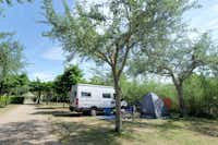 Massimo Camping  -  Wohnwagen- und Zeltstellplatz im Grünen auf dem Campingplatz