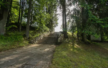Mazur Syrenka