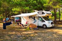 MCM Camping & Resort - Wohnmobilstellplätze im Schatten der Bäume