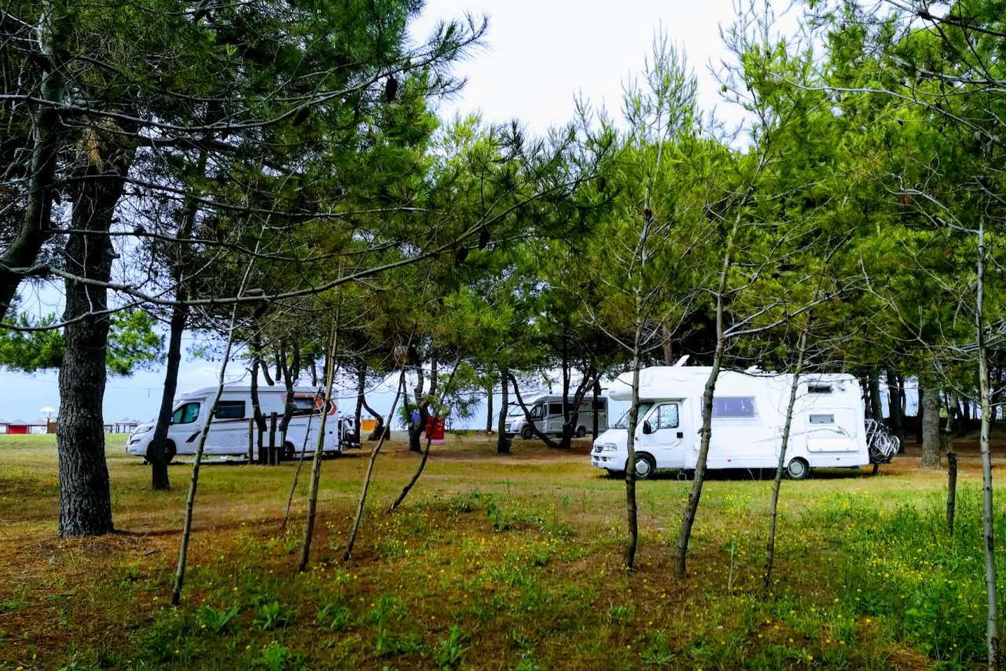MCM Camping & Resort - Wohnwagenstellplätze auf dem Campingplatz zwischen Bäumen mit Blick auf das Mittelmeer