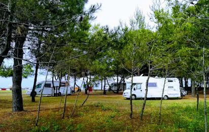 MCM Camping & Resort
