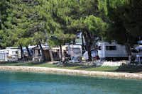 Mediteran Kamp @ Camping Puntica - Standplätze teilweise im Halbschatten unter Bäumen direkt am Ufer einer Buct an der Adriaküste