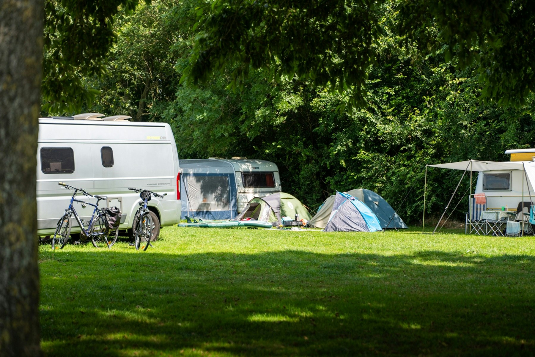 Campingplaats Indijk  Camping Indijk - Standplatzwiese auf dem Campingplatz