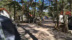 Meißner's Sonnencamp