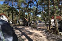 Meißners Sonnencamp - Wohnwagen- und Wohnmobilstellplätze bis 7 Metern Gesamtlänge auf dem Campingplatz
