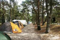 Meißners Sonnencamp - Zeltplatz im Schatten unter Bäumen auf dem Campingplatz