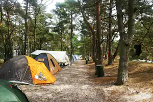 Meißners Sonnencamp - Zeltplatz im Schatten unter Bäumen auf dem Campingplatz