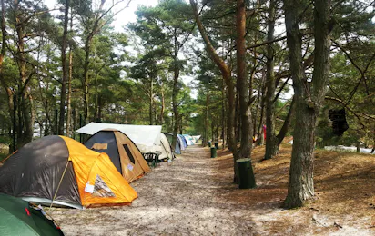Meißner's Sonnencamp