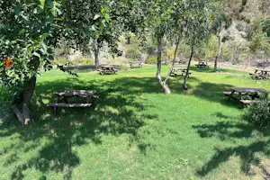 Campingwiese mit mehreren Picknicktischen aus Holz unter Bäumen, im Hintergrund ein Zaun und weitere Sitzgelegenheiten.
