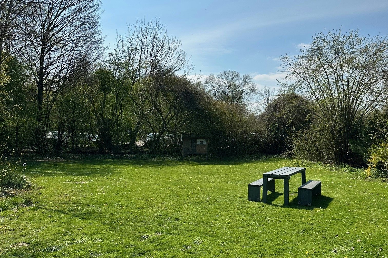 Grüner Campingplatz mit Rasenfläche, Hecken und Bäumen, im Vordergrund ein schwarzer Grill und Sitzbank.