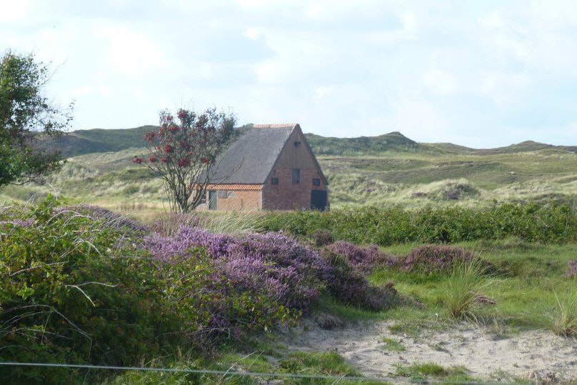 Mini camping de  Rugediek - Natur in der Umgebung des Campingplatzes