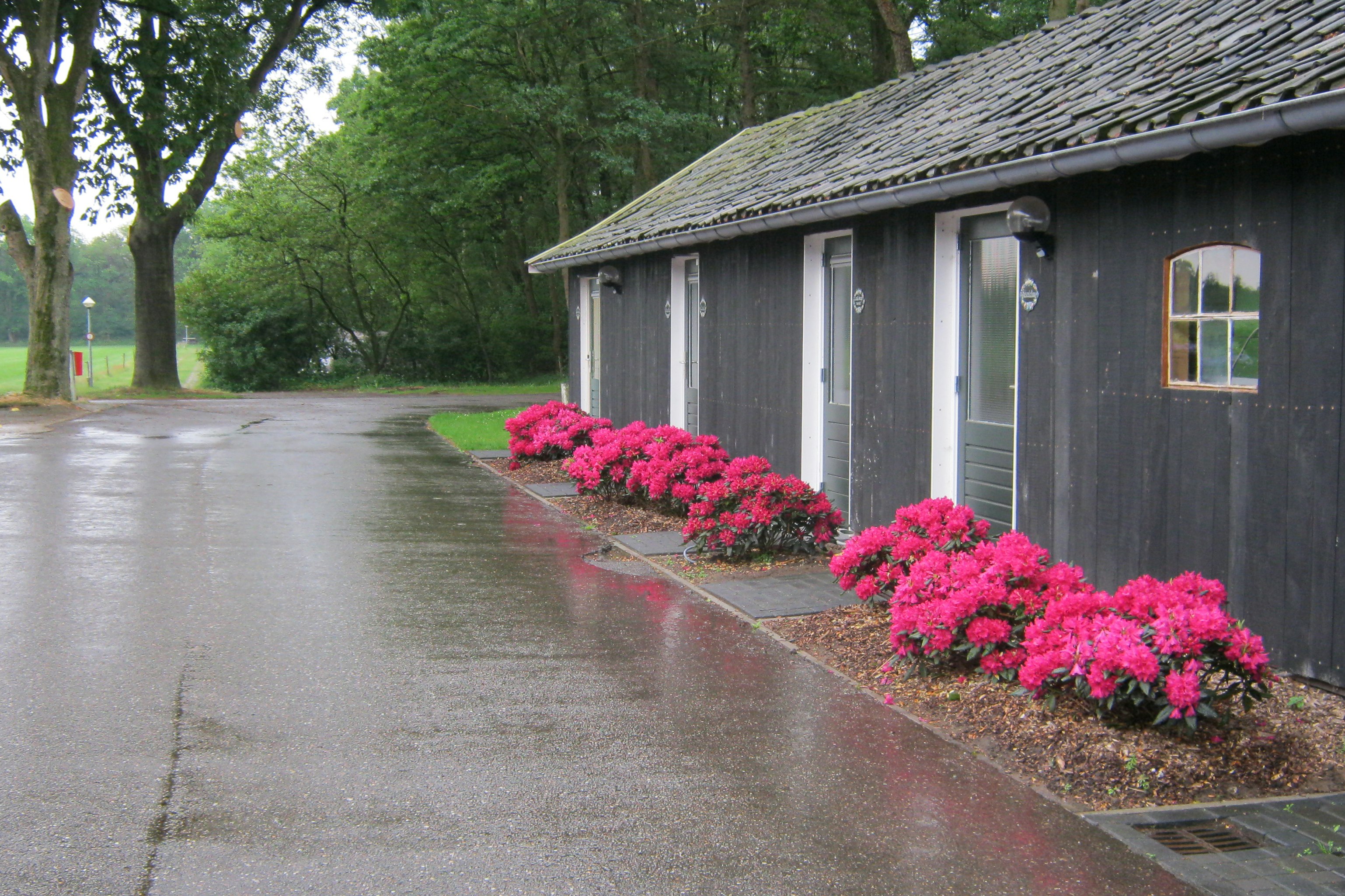 Mini-camping De Wolboom - Außenansicht Sanitärgebäude