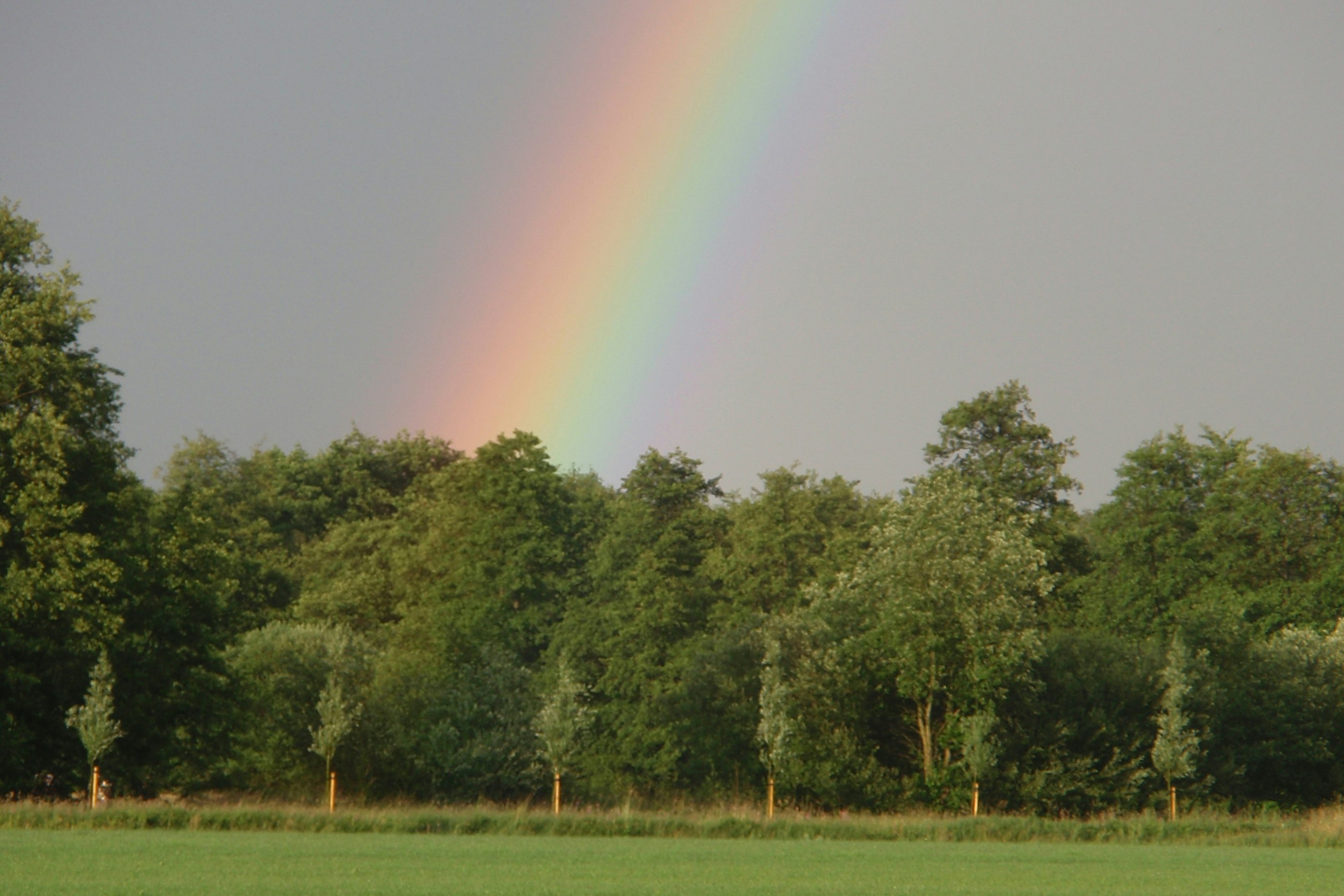 Mini-camping De Wolboom - Regenbogen über dem Campingplatz