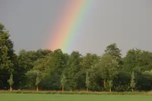 Mini-camping De Wolboom - Regenbogen über dem Campingplatz