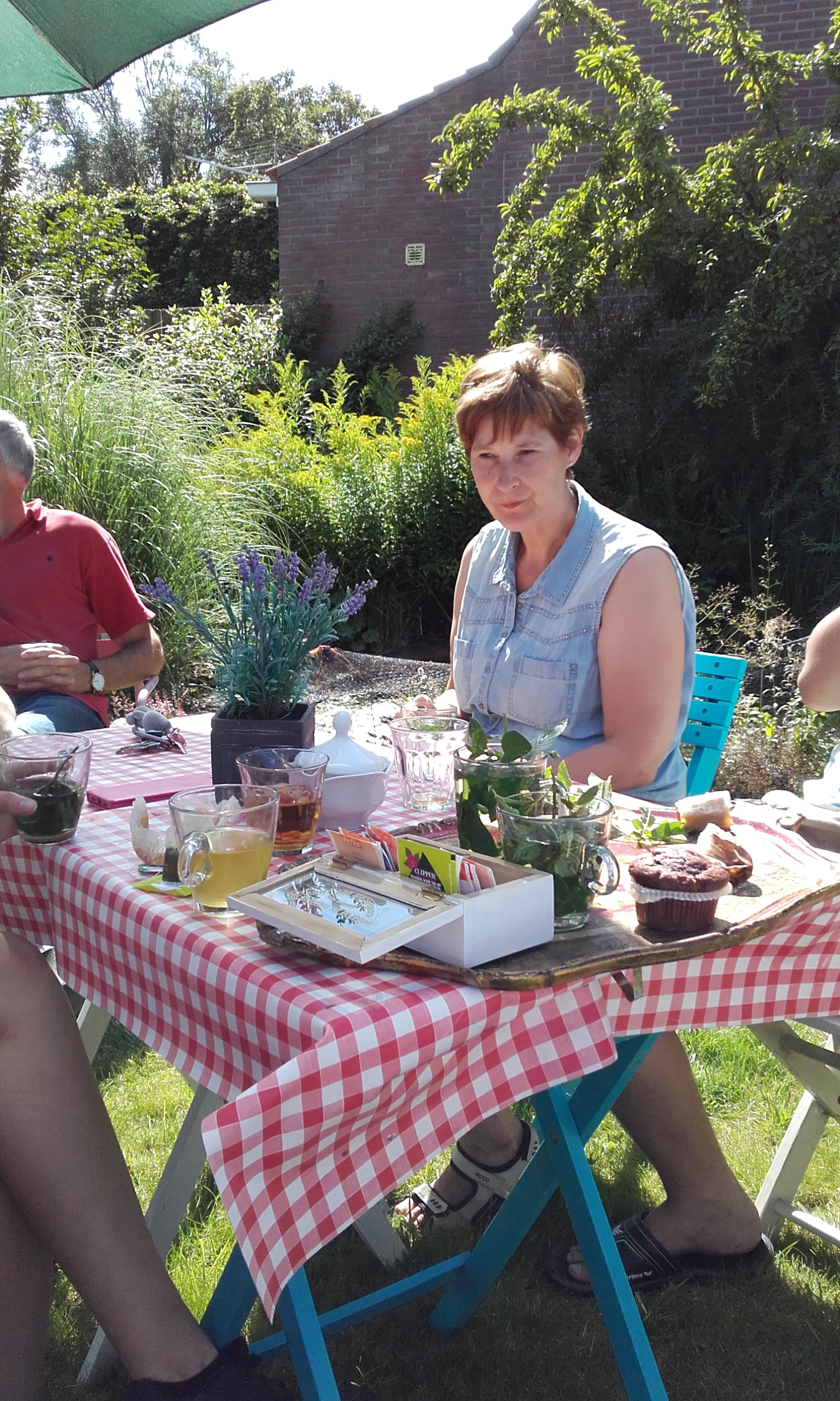 Mini Camping Dorpszicht