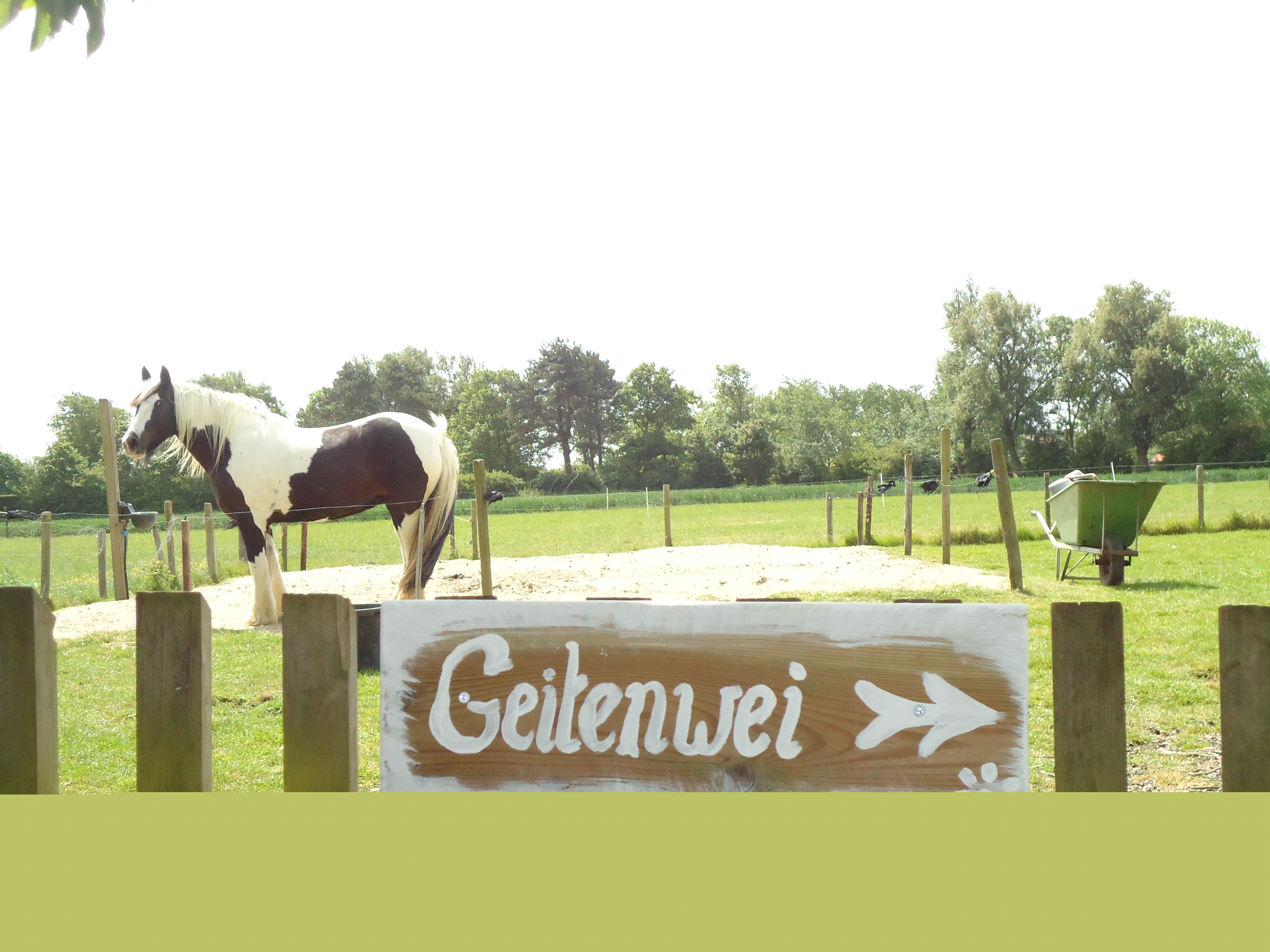 Mini Camping Dorpszicht