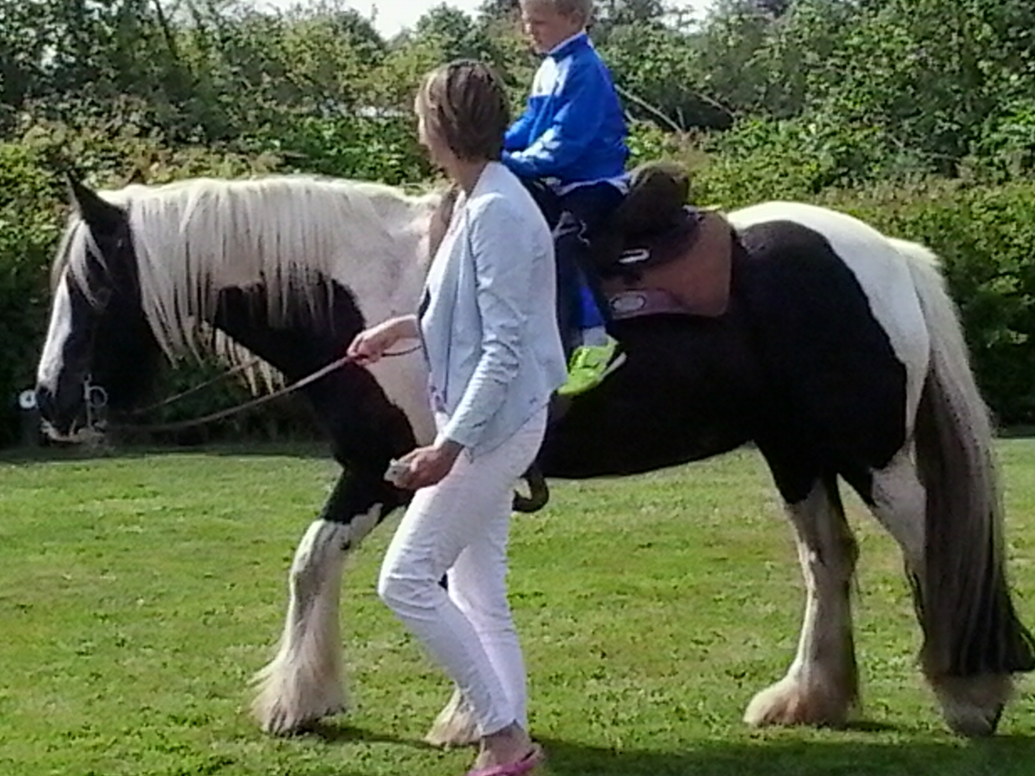 Mini Camping Dorpszicht