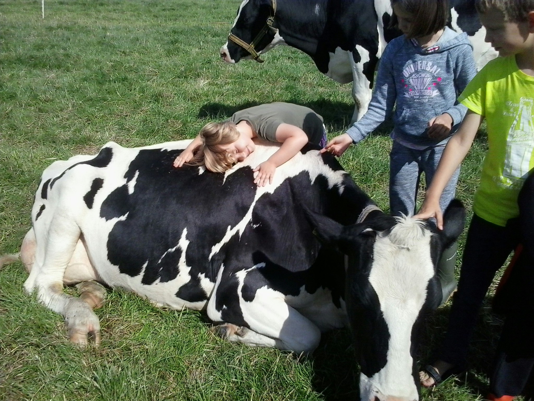 Mini Camping Dorpszicht