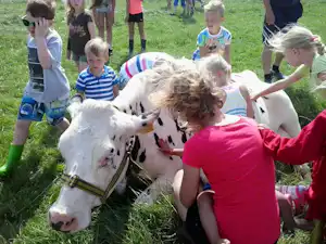 Kinder streicheln eine Kuh auf einer grünen Wiese, mehrere Kinder knien und stehen dabei im Freien.