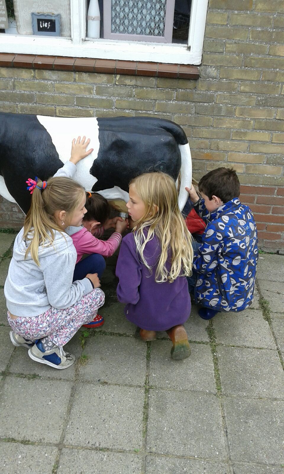Mini Camping Dorpszicht