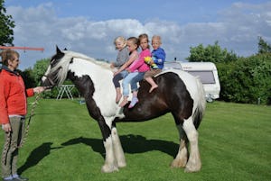 Mini Camping Dorpszicht