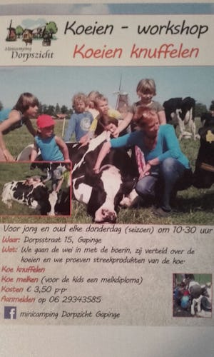 Mini Camping Dorpszicht