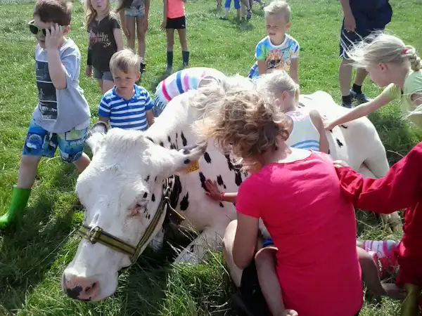 Mini Camping Dorpszicht