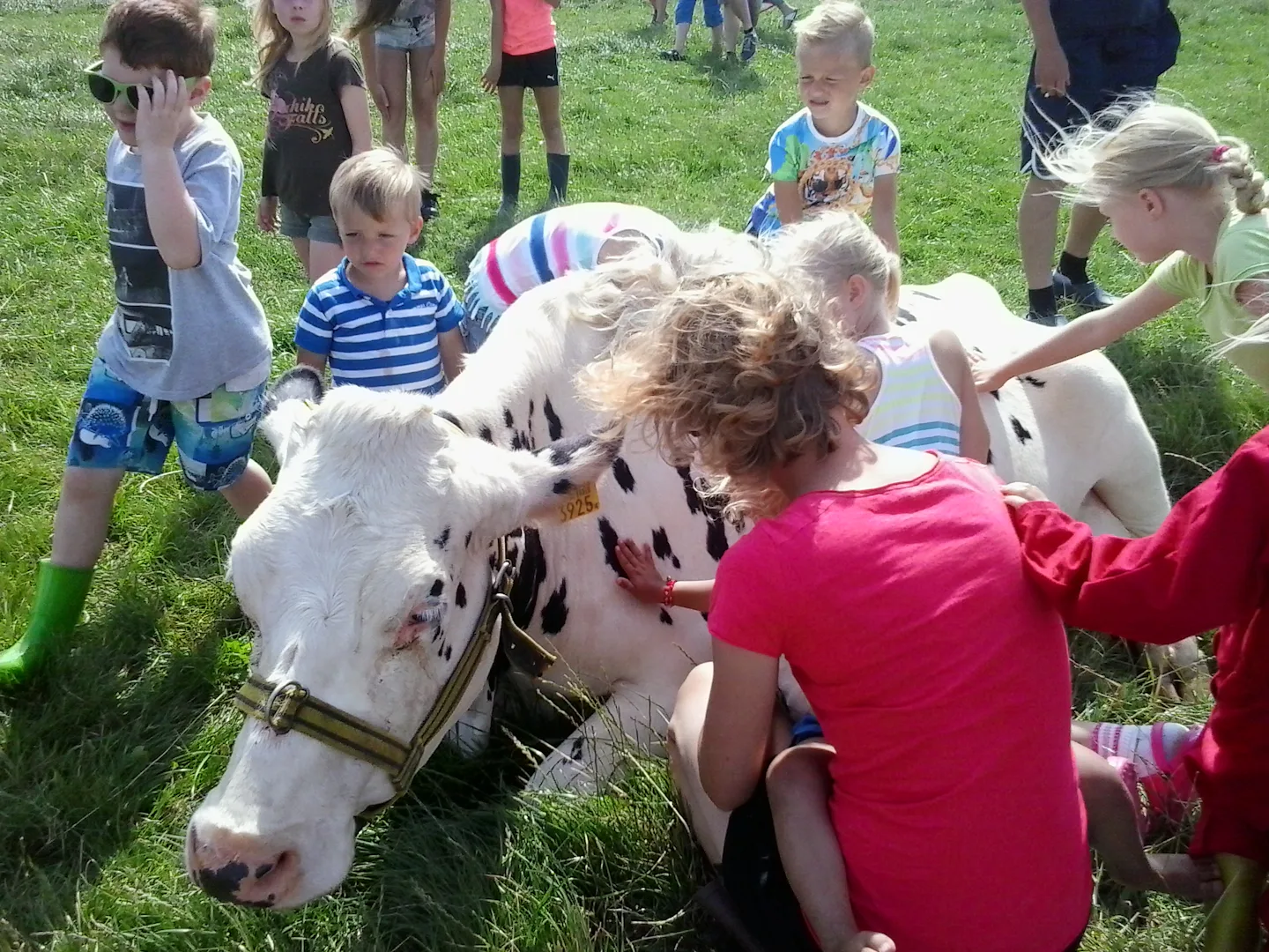 Mini Camping Dorpszicht