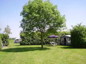 Großer Baum auf dem Campingplatz, daneben Zelte und ein Wohnwagen auf einer gepflegten Rasenfläche.