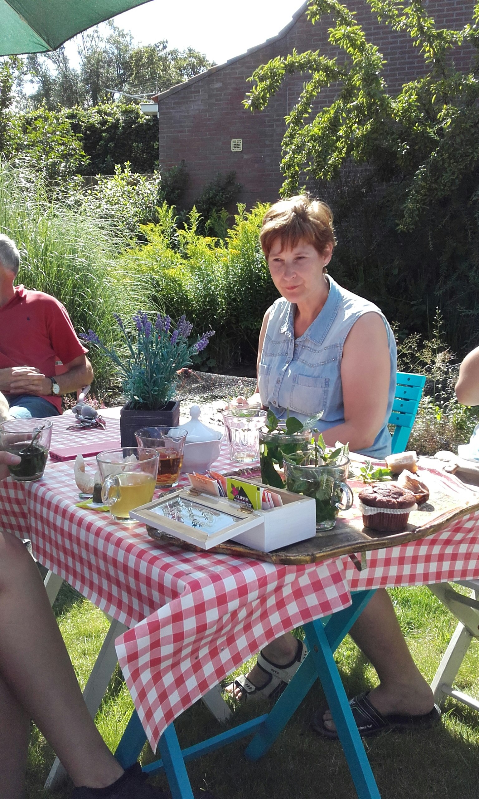 Mini Camping Dorpszicht