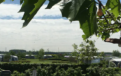 Mini Camping Hoeve De Bonte Kraai