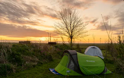 Mini camping Johanna’s Bos