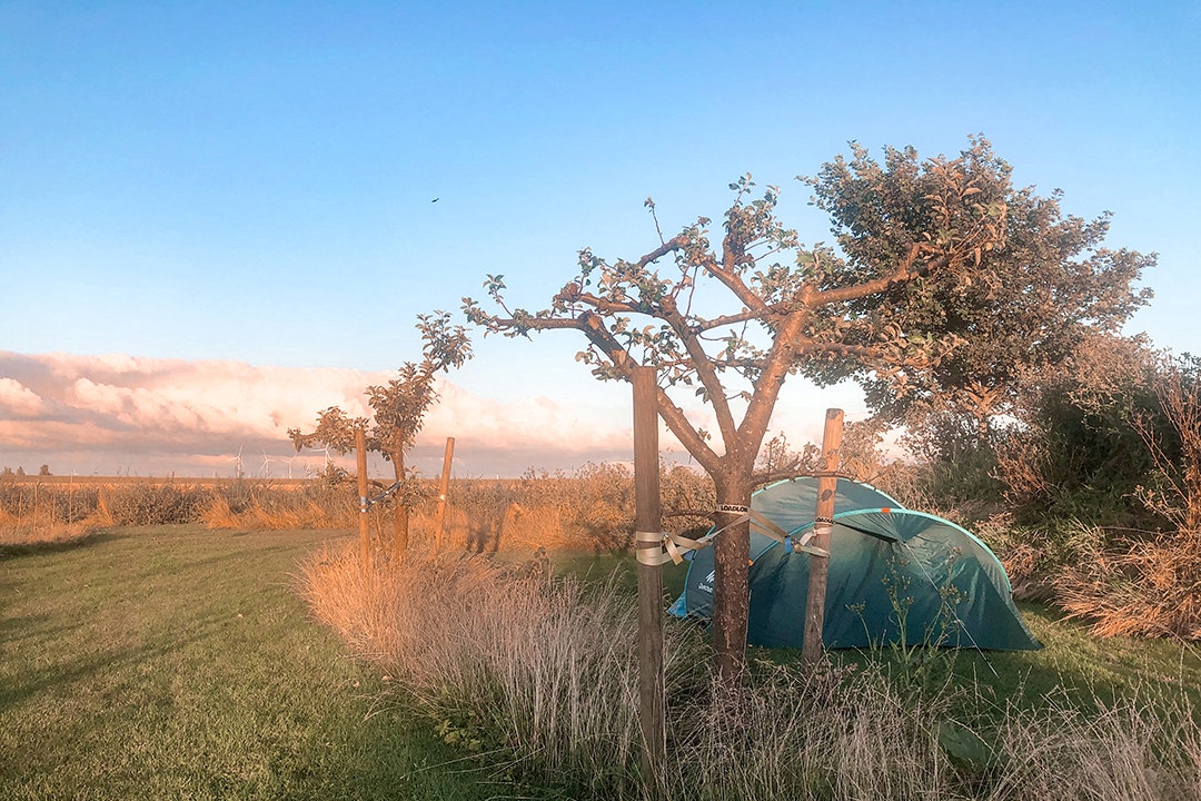 Mini camping Johanna’s Bos - Zeltplatz auf dem Campingplatz