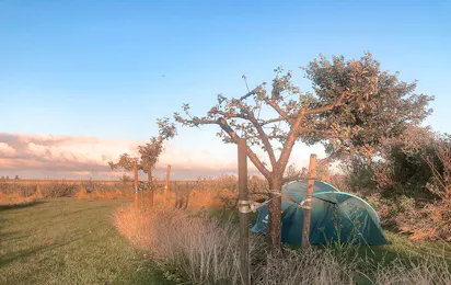 Mini camping Johanna’s Bos