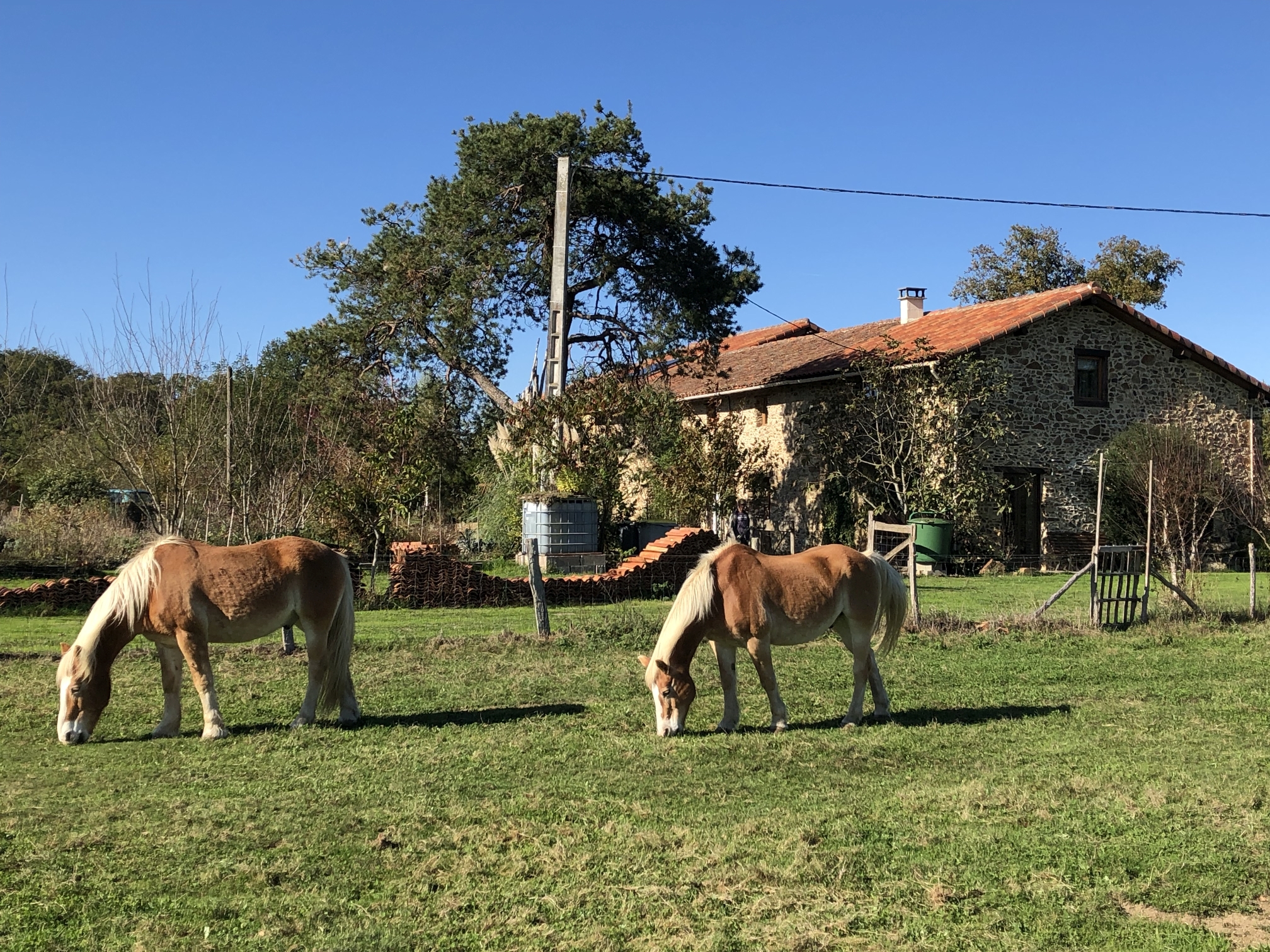 Mini Camping Le Douvet