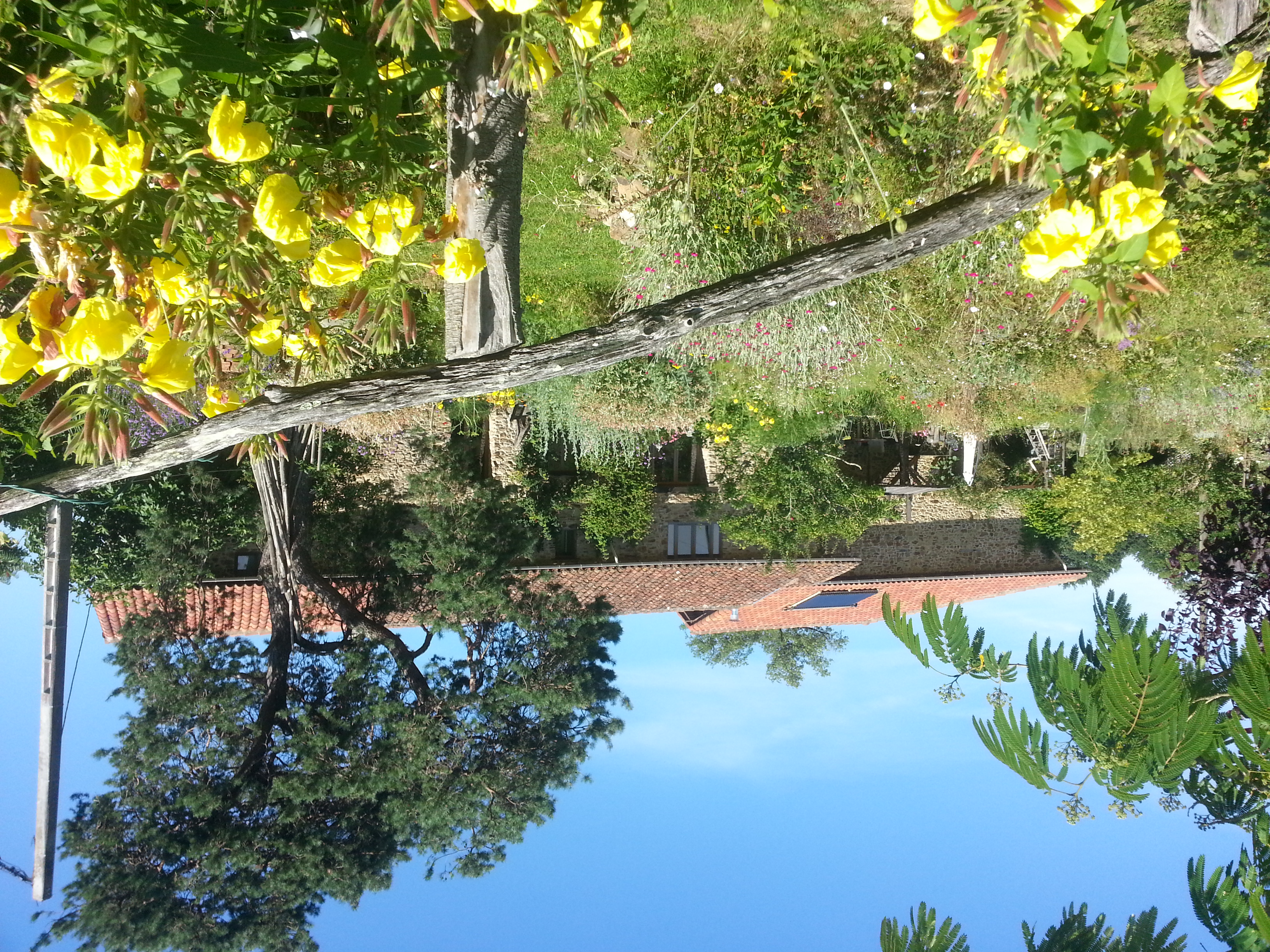 Mini Camping Le Douvet