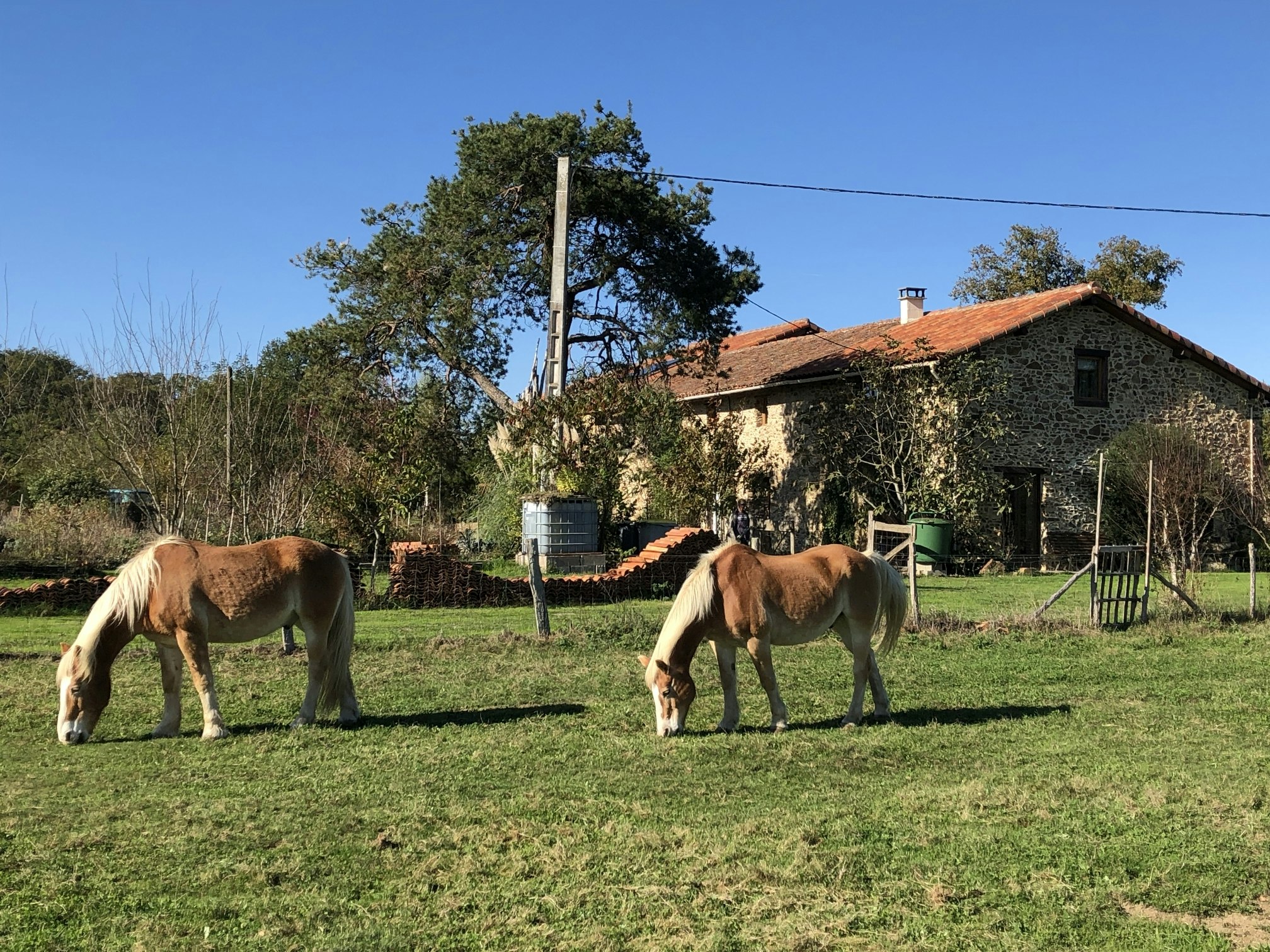 Mini Camping Le Douvet