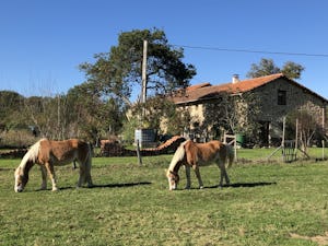 Mini Camping Le Douvet