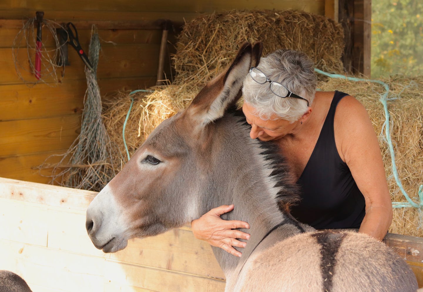 Mini Camping Le Douvet