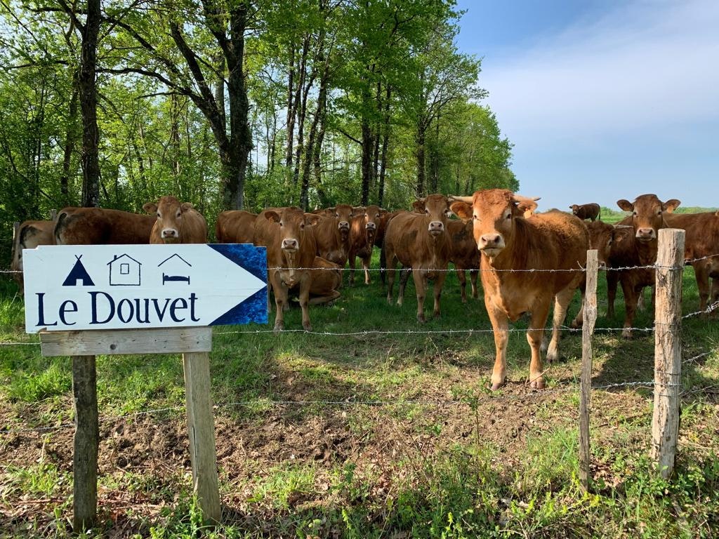 Mini Camping Le Douvet