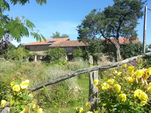 Blumen im Campinggarten vor einem Holzgeländer, dahinter ein Gebäude mit rotem Ziegeldach und Bäumen im Hintergrund.