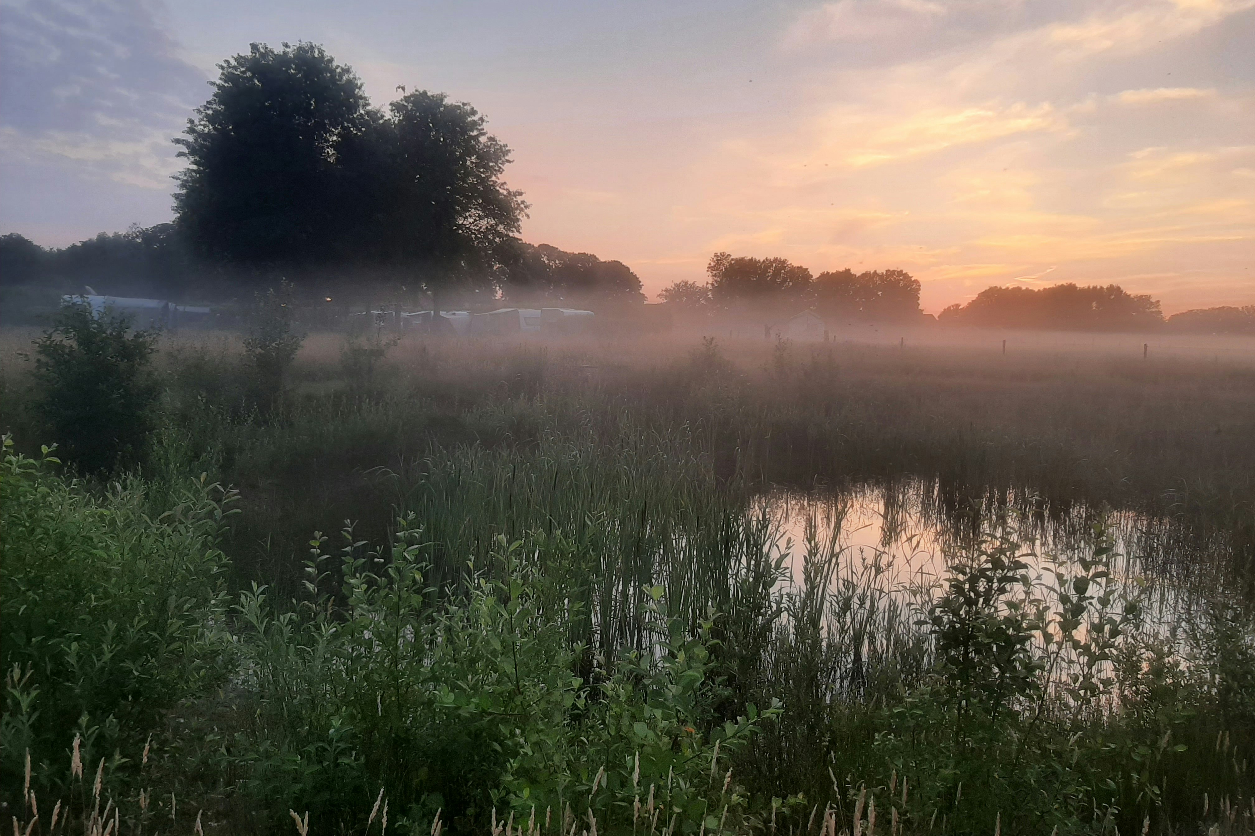Mini Camping Le- Silence - Blick auf den Campingplatz bei Sonnenaufgang