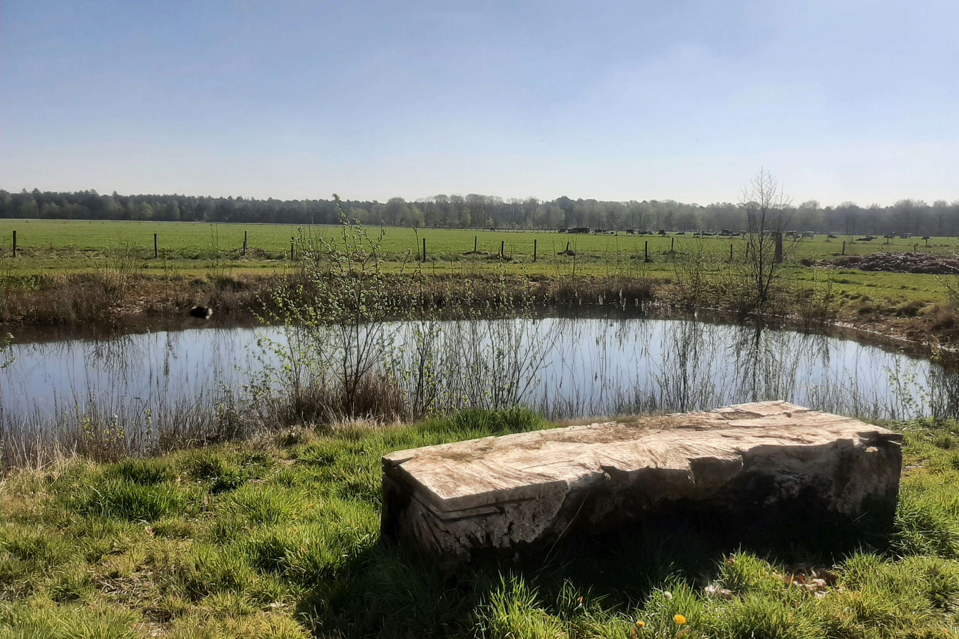 Mini Camping Le- Silence - Blick auf den Teich am Campingplatz