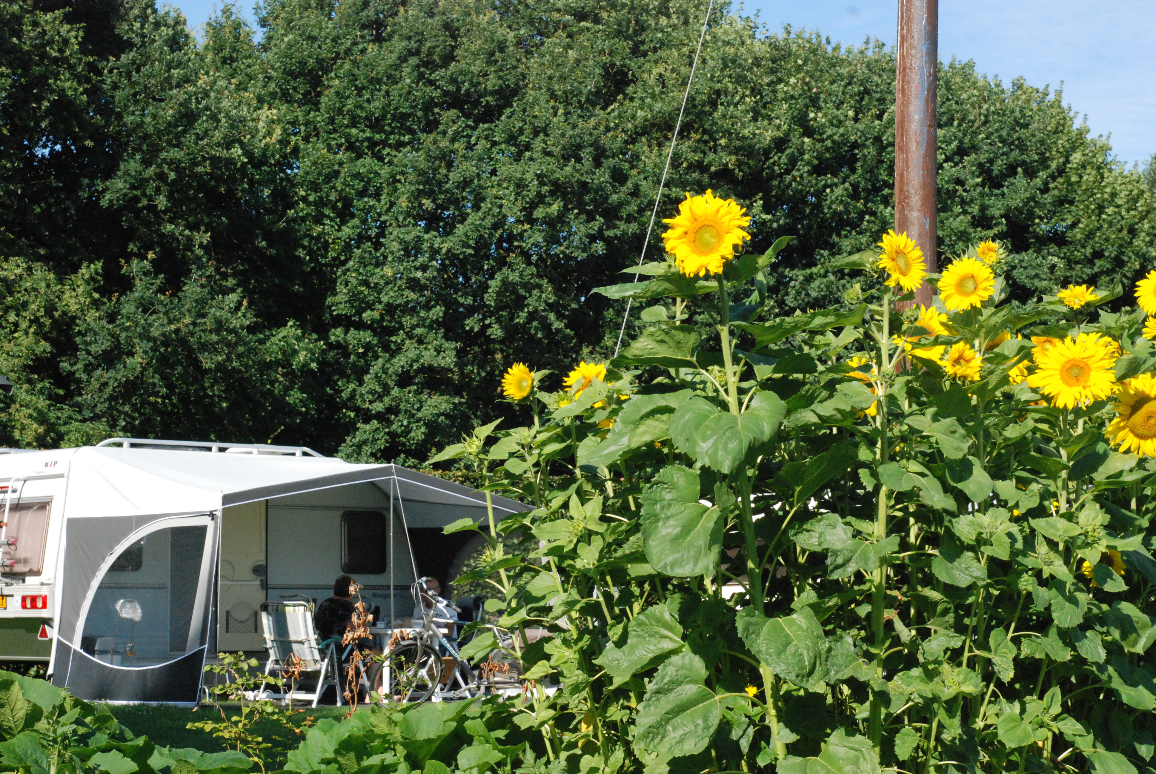 Mini Camping Looierheide