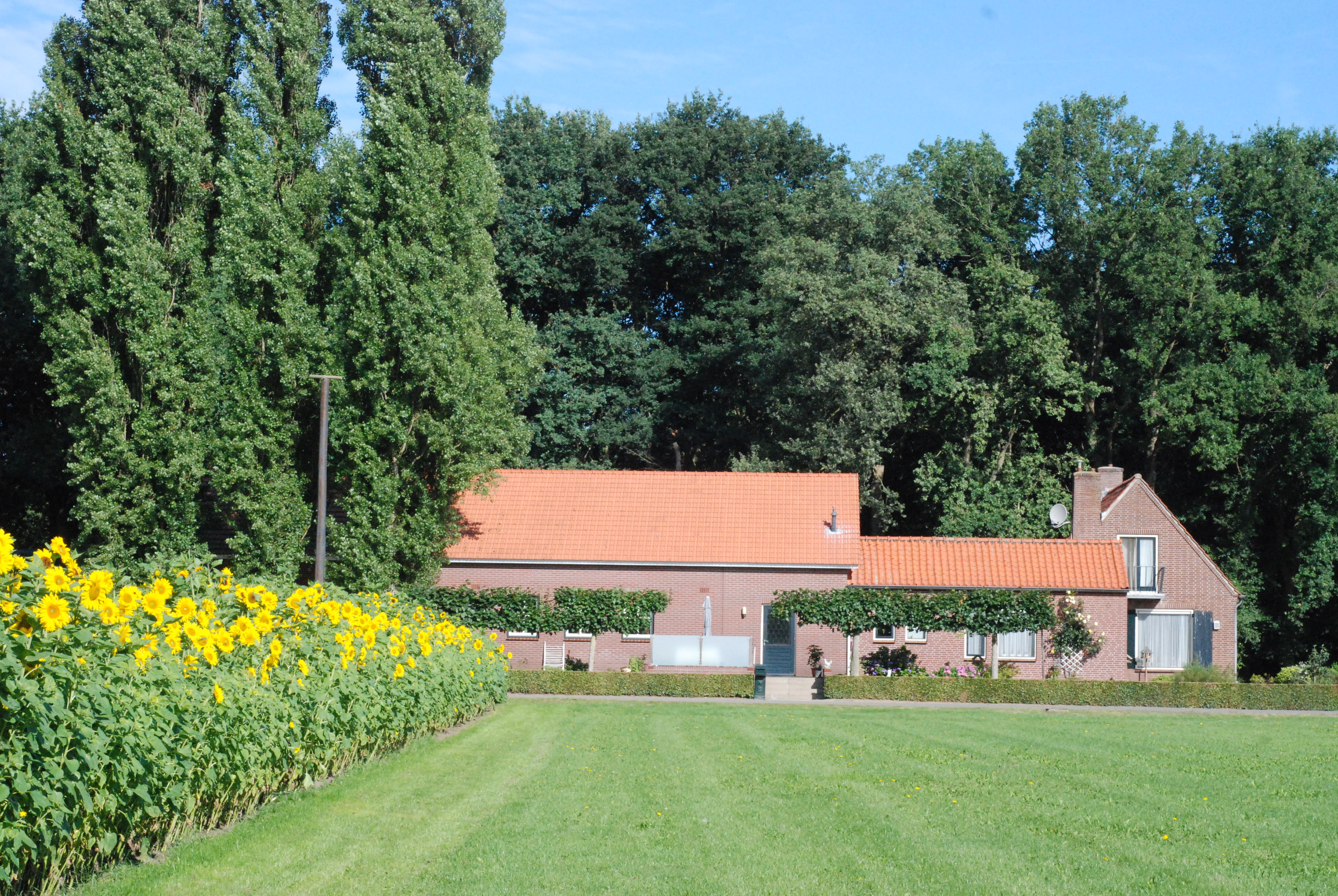 Mini Camping Looierheide