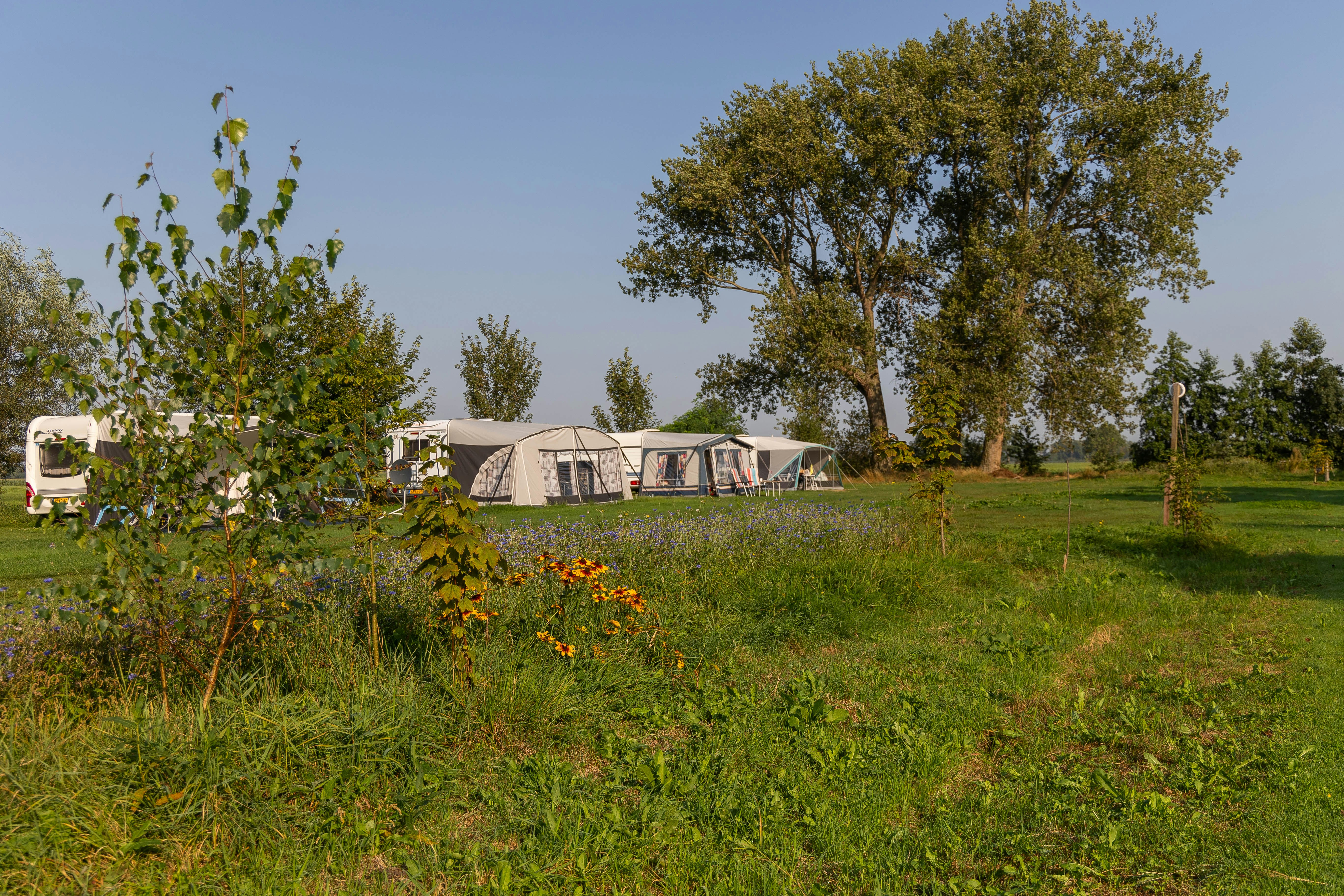 Camping Slingeland  Mini Camping Slingeland - Standplatzwiese auf dem Campingplatz