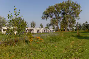 Camping Slingeland Mini Camping Slingeland - Standplatzwiese auf dem Campingplatz