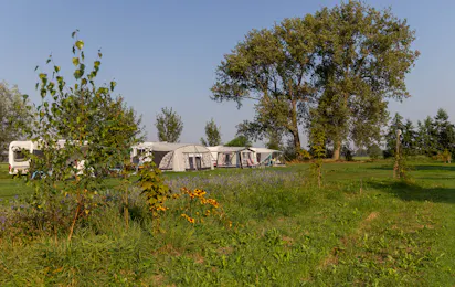 Camping Slingeland