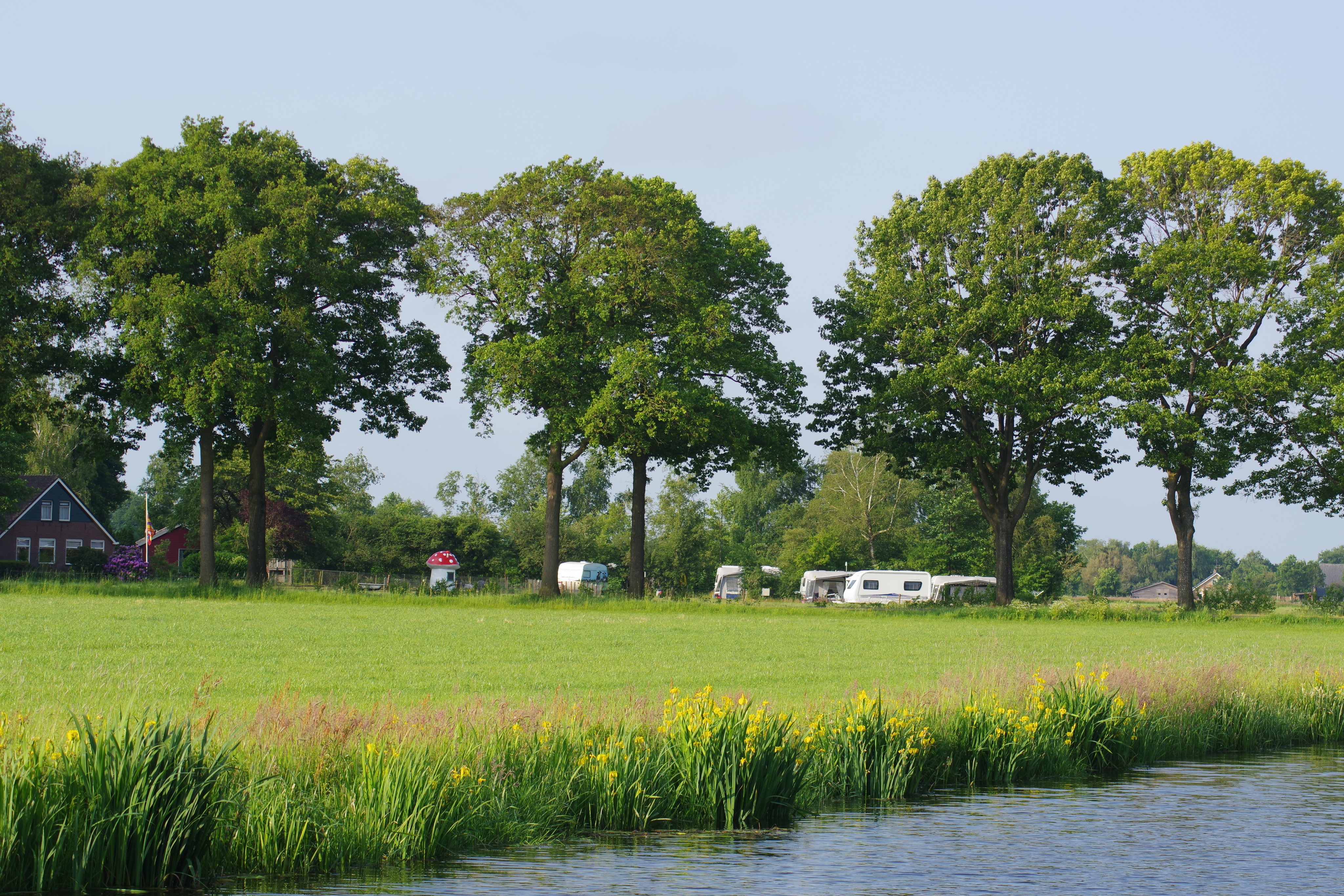 Mini Camping 't Loozerveld
